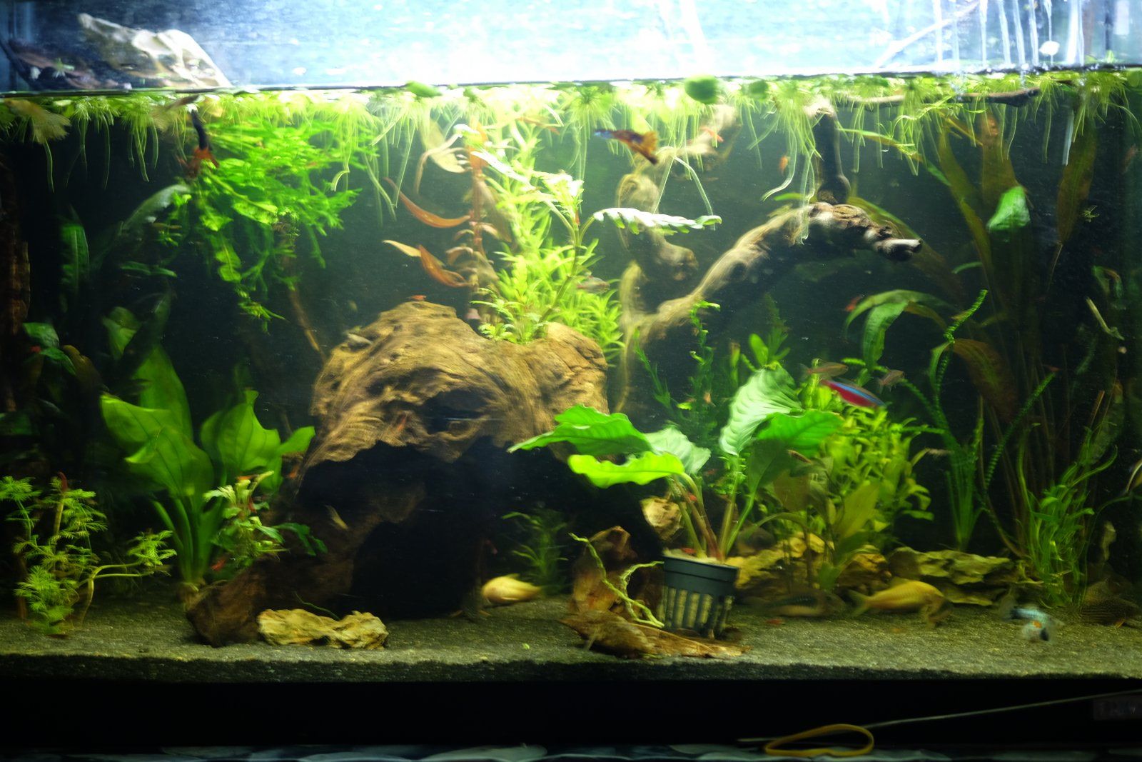 DSCF9260.JPG