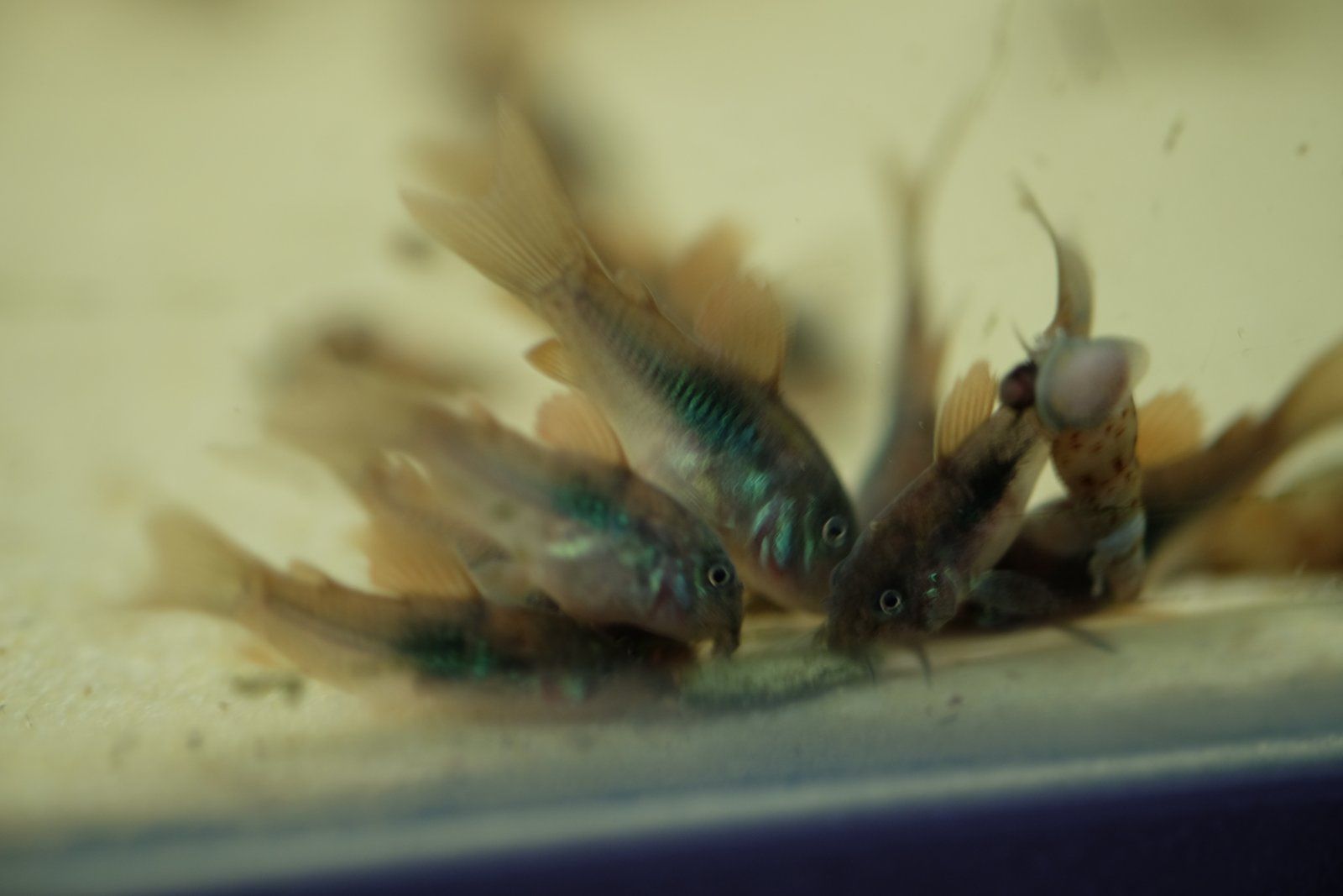 DSCF9498.JPG