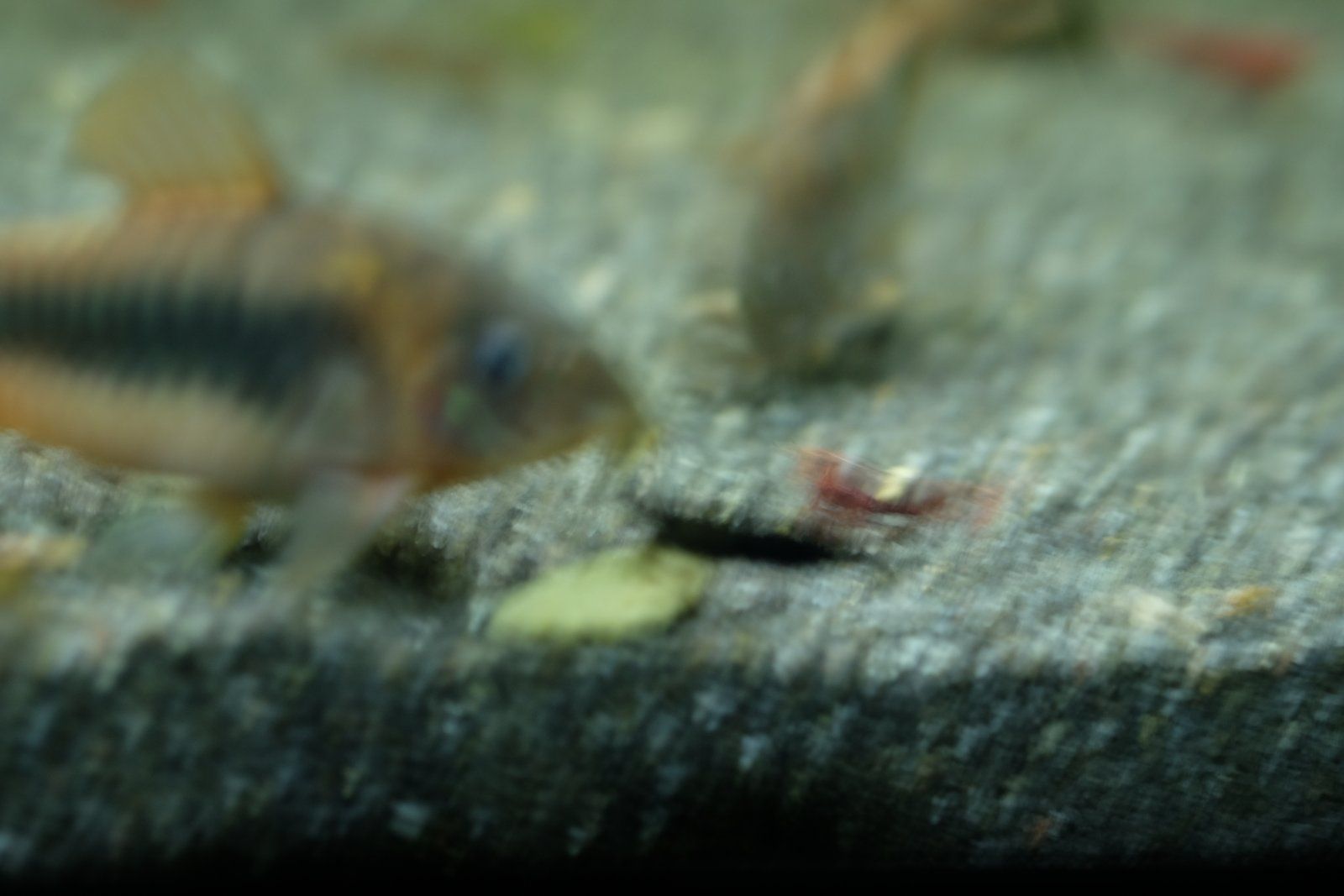 DSCF9534.JPG
