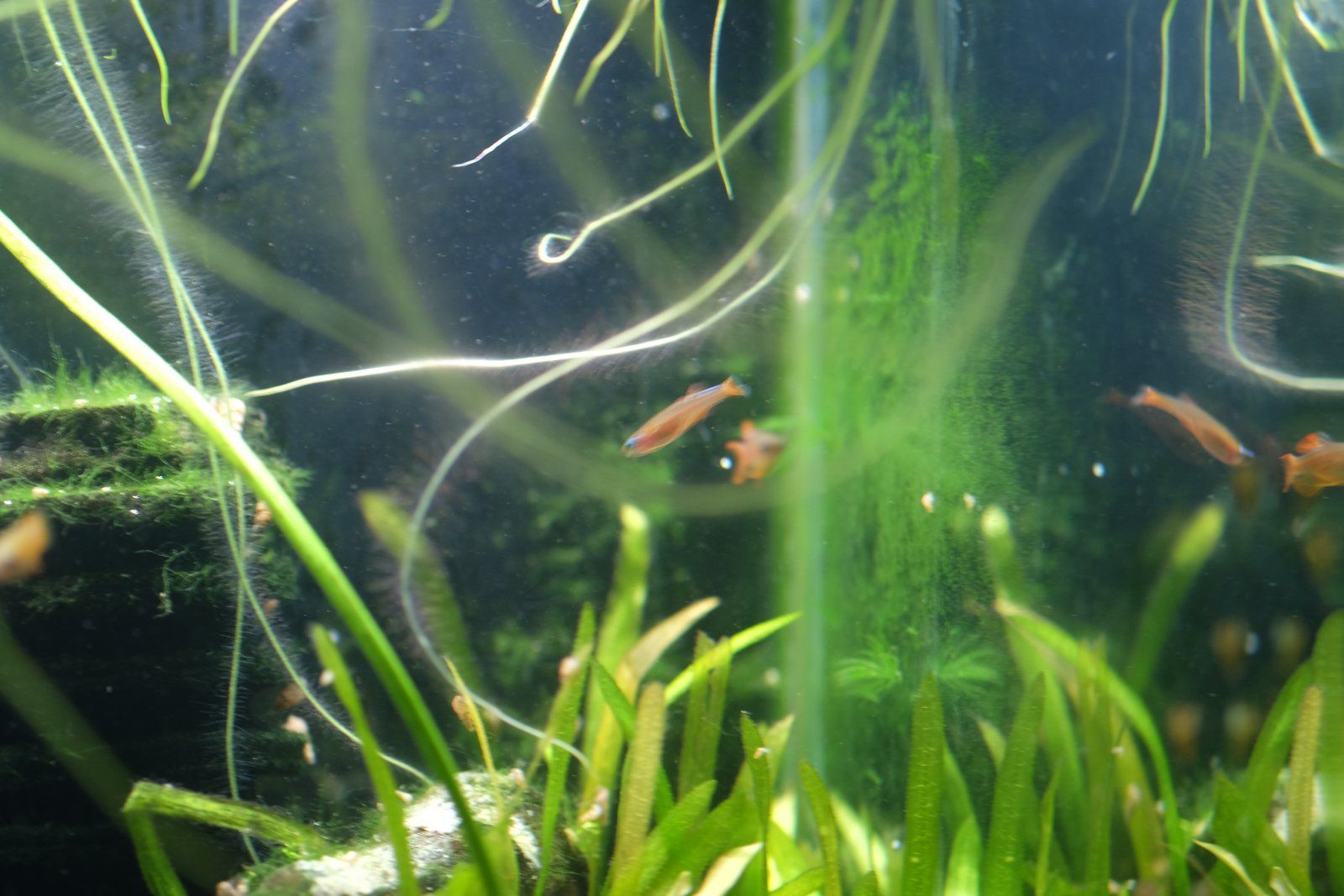 DSCF9908.JPG