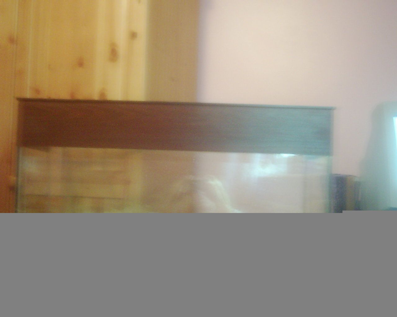 DSCI0044.JPG