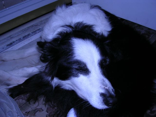 DSCN0015_0_.jpg