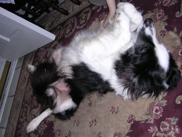 DSCN0016.jpg