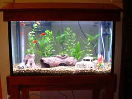 DSCN0357_for_NG.jpg