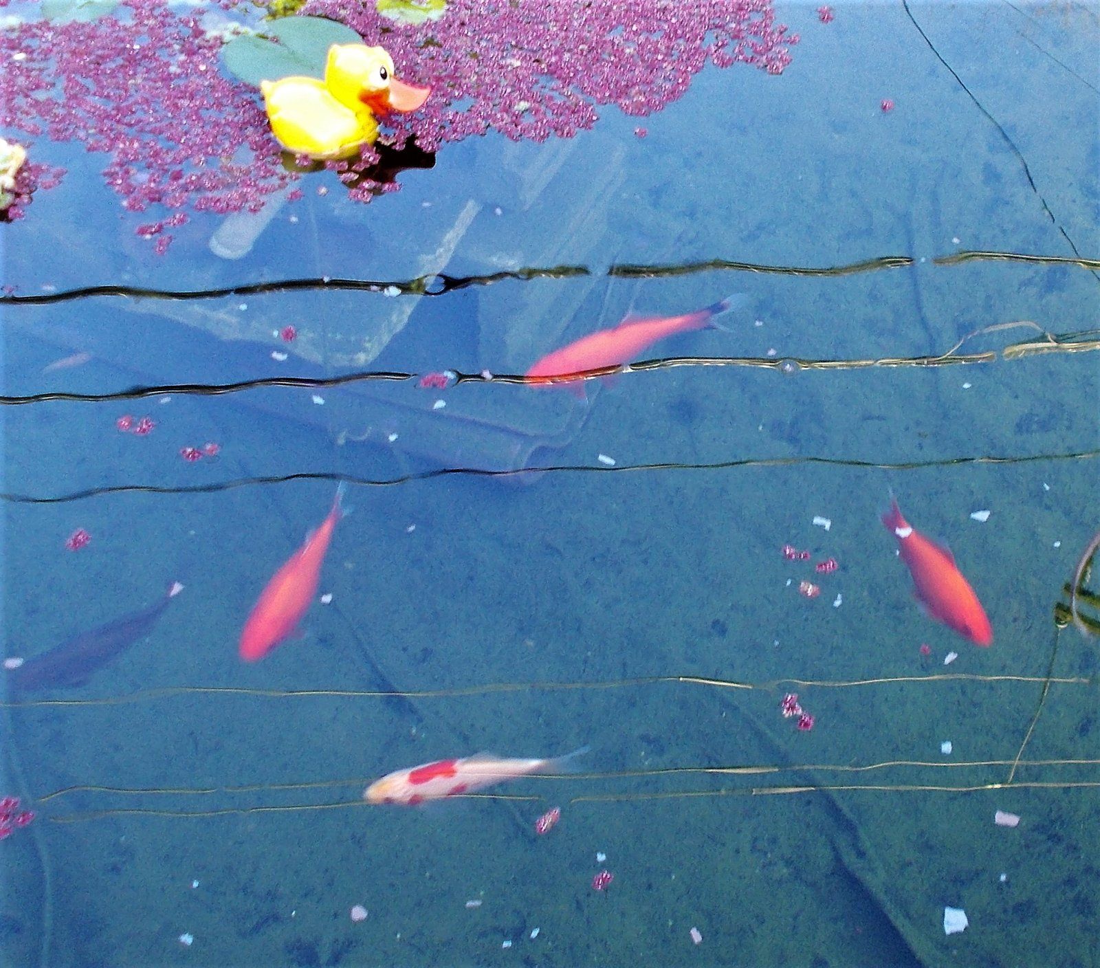 DSCN0899.JPG