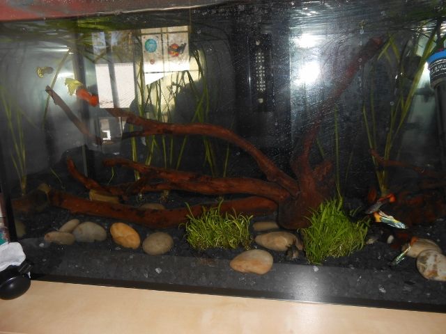 DSCN1073 (640x480).jpg