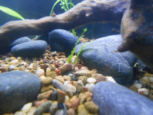 DSCN1397 (640x480).jpg