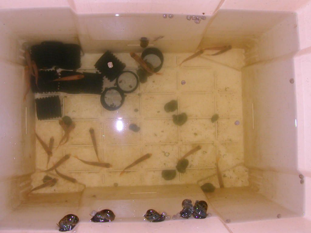 DSCN2288.JPG
