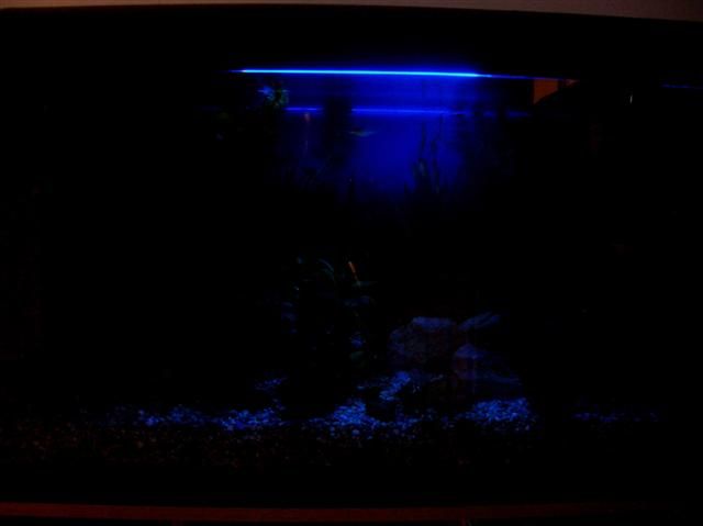 DSCN2516__Small_.jpg