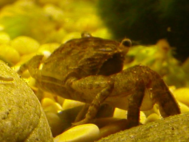 DSCN3422.JPG