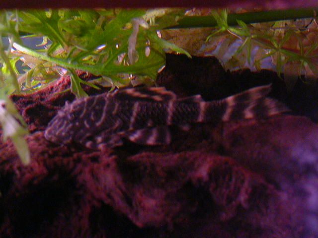 DSCN3435.JPG
