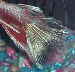 DSCN3705.JPG