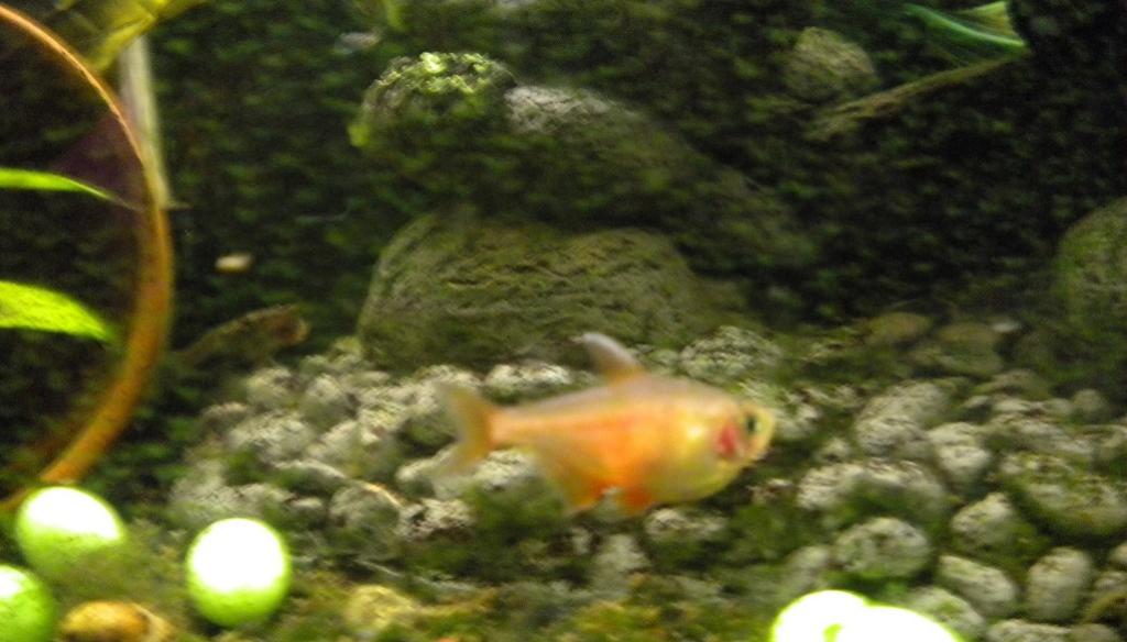 DSCN3751.JPG