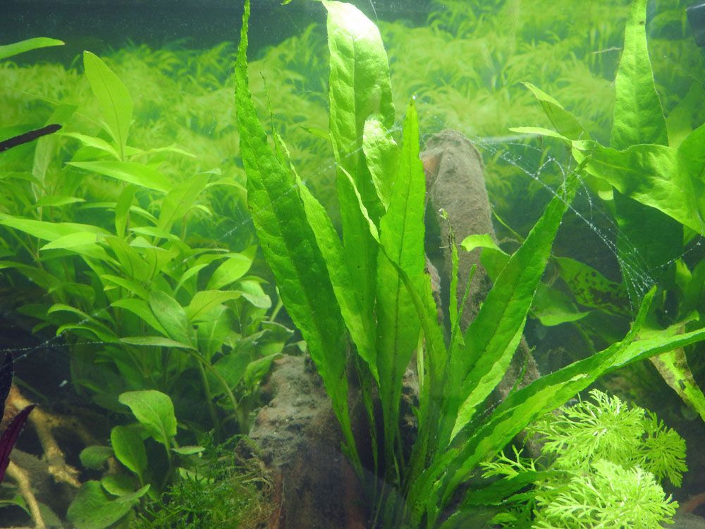 DSCN3896.JPG