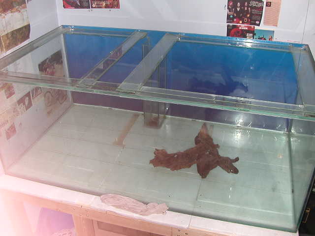 DSCN3962.JPG