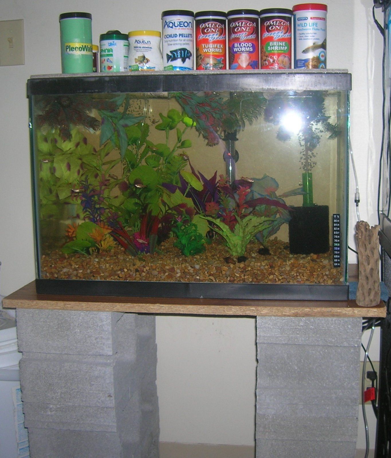 DSCN4063.JPG