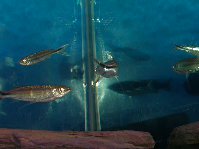 DSCN4149.JPG