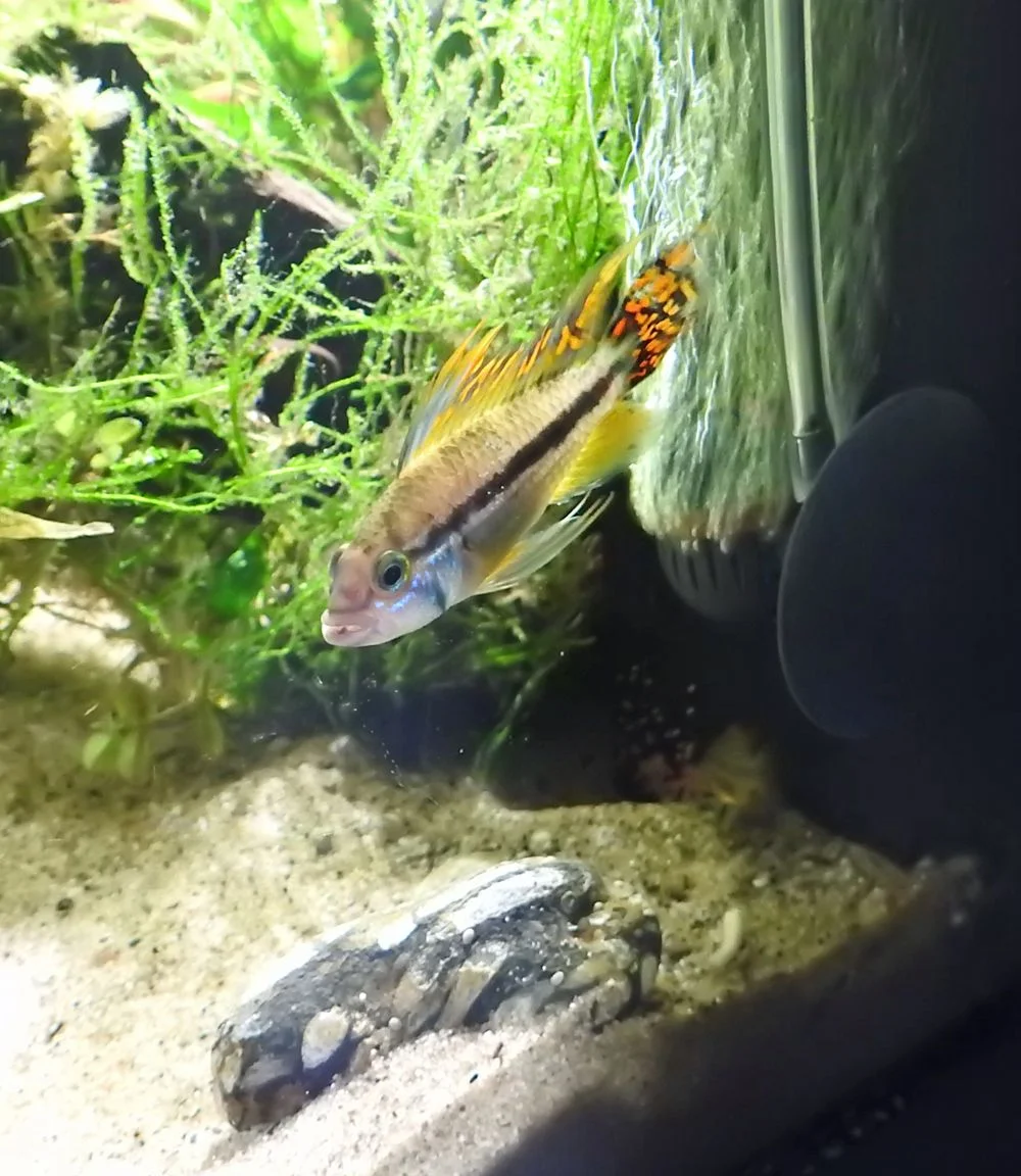 DSCN4165.JPG