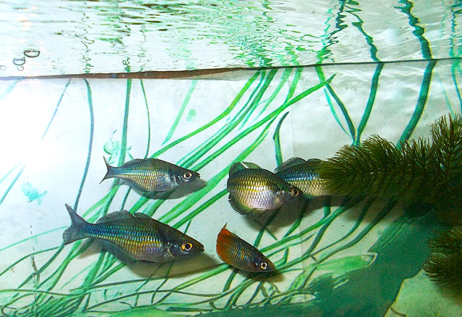 DSCN4596.JPG