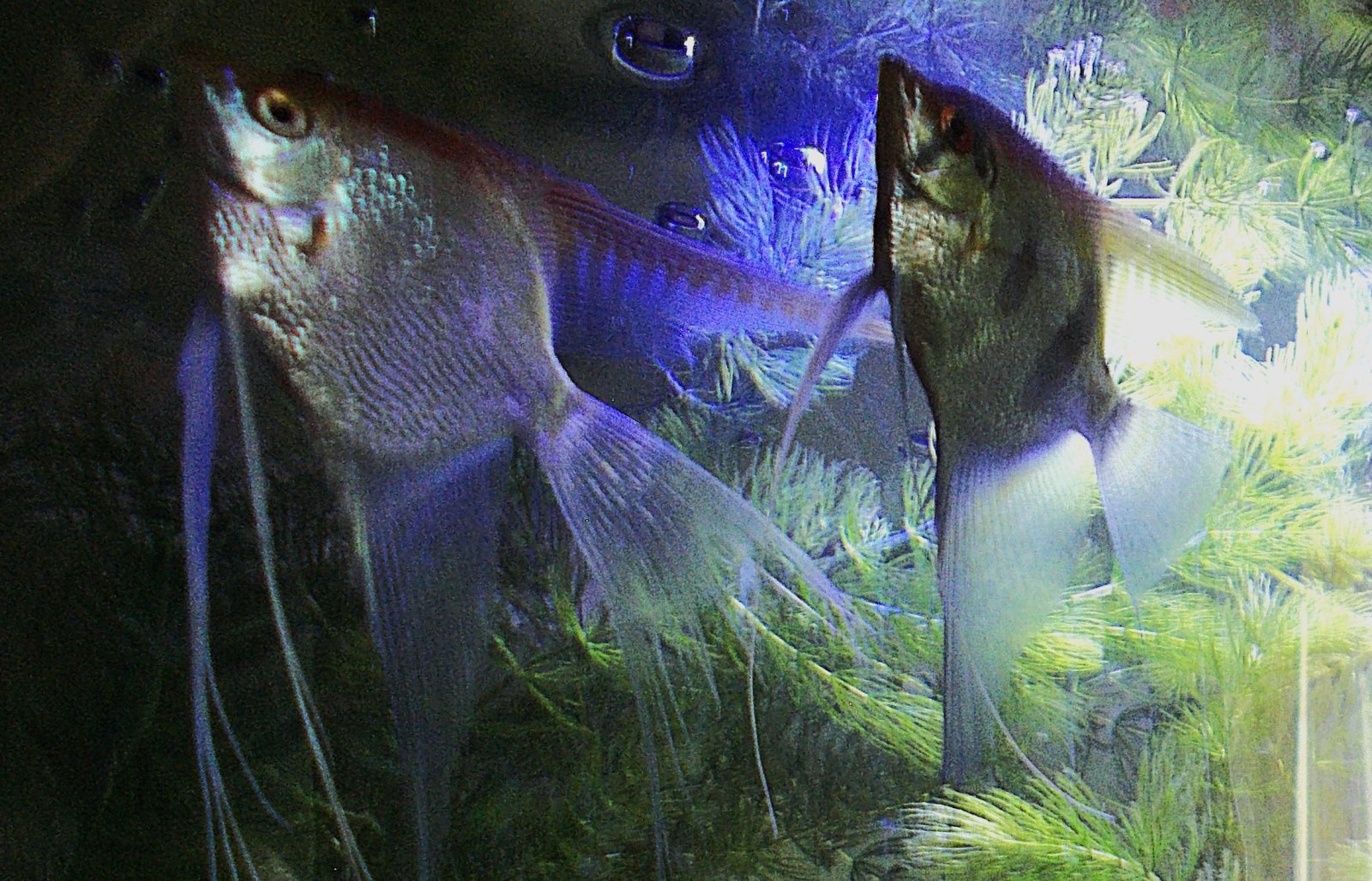 DSCN4607.JPG