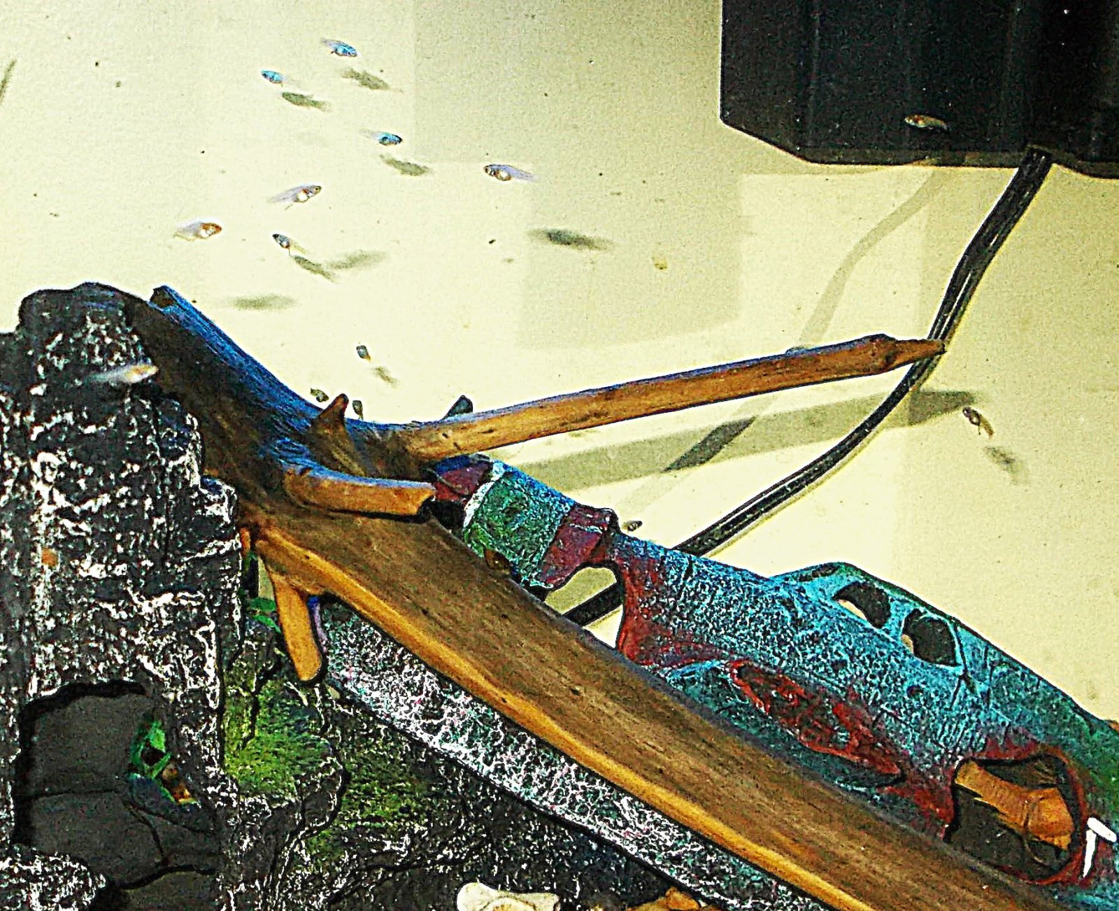 DSCN5464.JPG