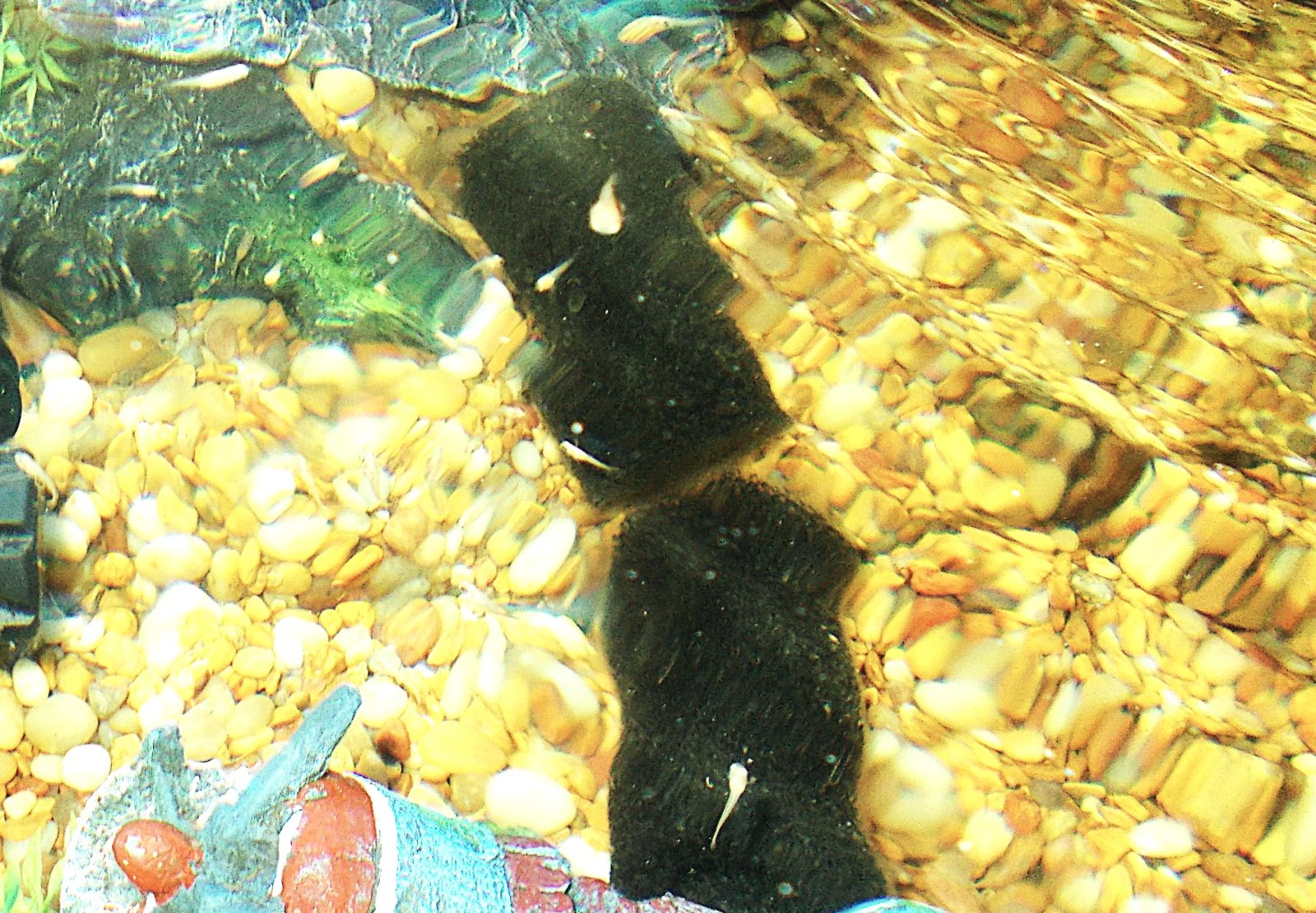 DSCN5465.JPG