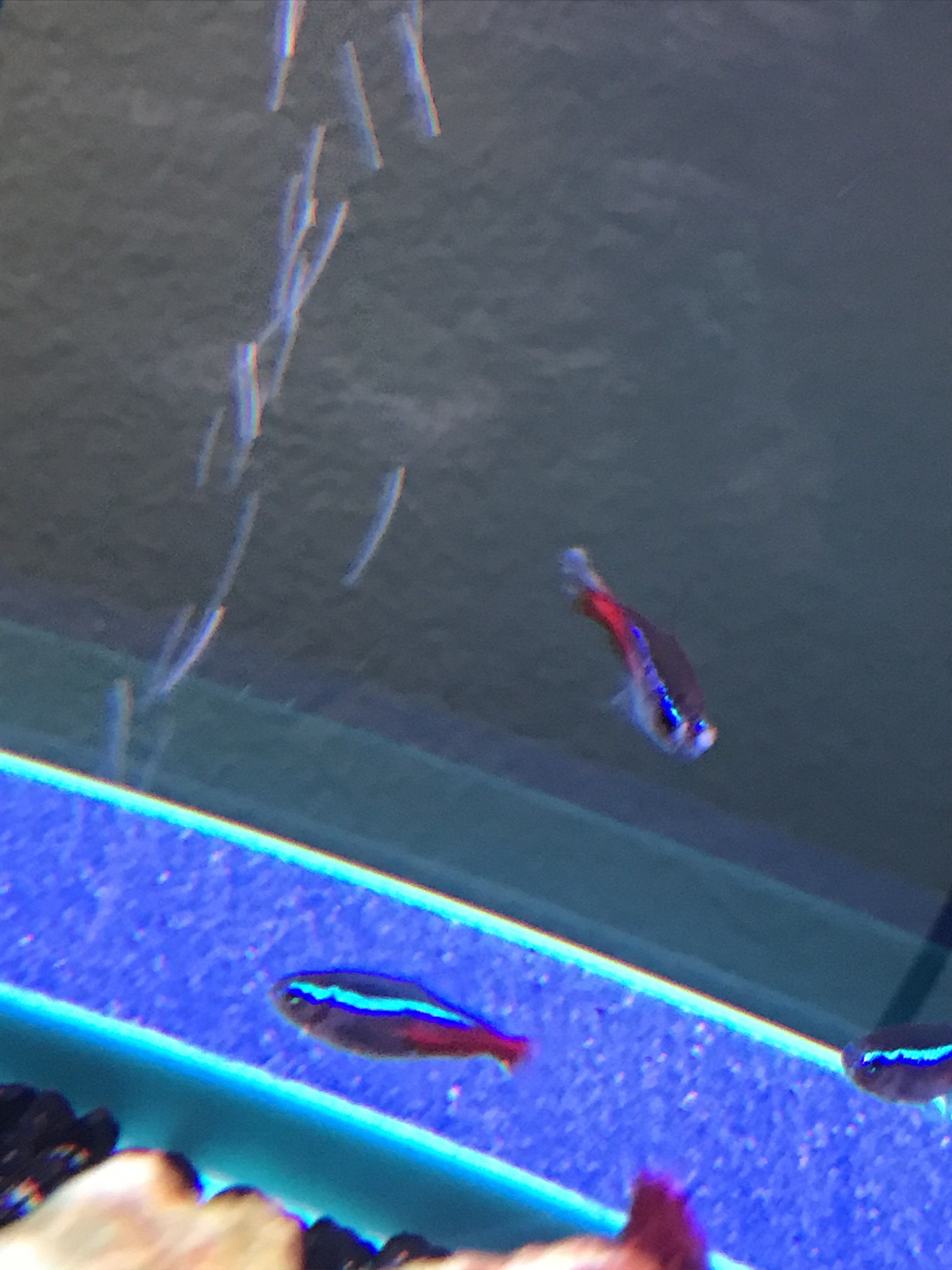 EC302354-EDE6-4F87-B45E-DC8557CCCC8E.jpeg