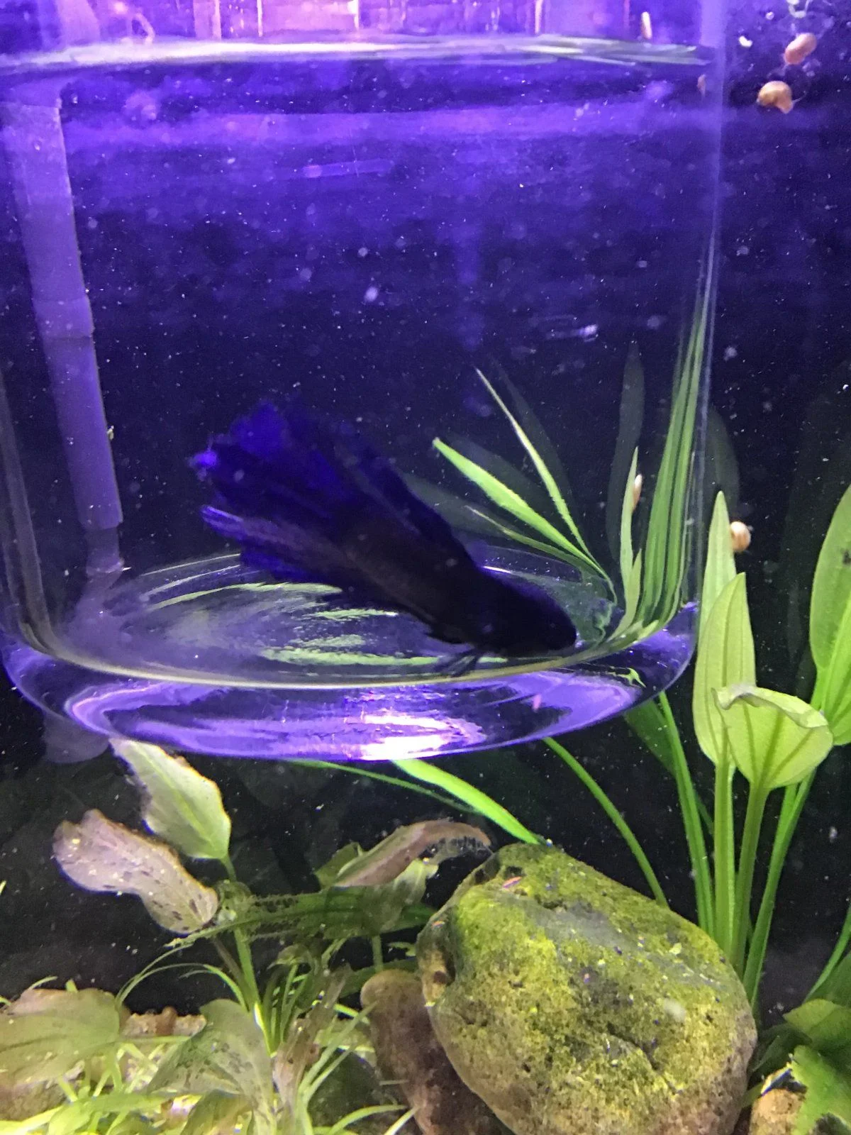 EF1D5AC7-ACA2-42CA-B487-9A7221968C85.jpeg