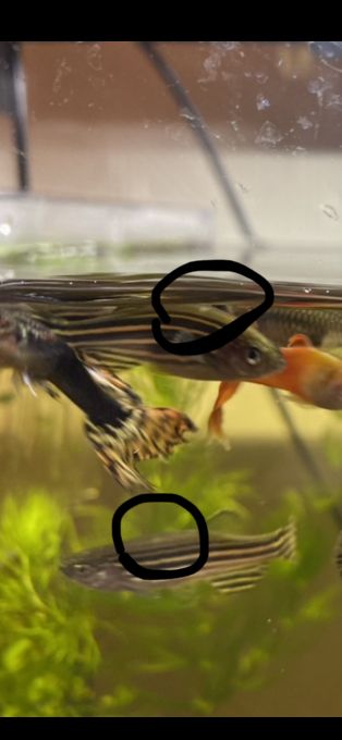 F5D0F6F7-5861-4BA3-A3FB-DBB43AE85520.jpeg