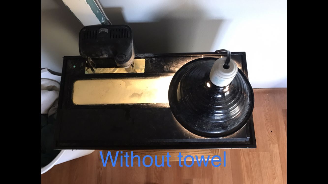 F815B073-AF99-472C-AC5B-14CAD6CCE45D.jpeg