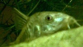Female_on_rock_breathing.jpg