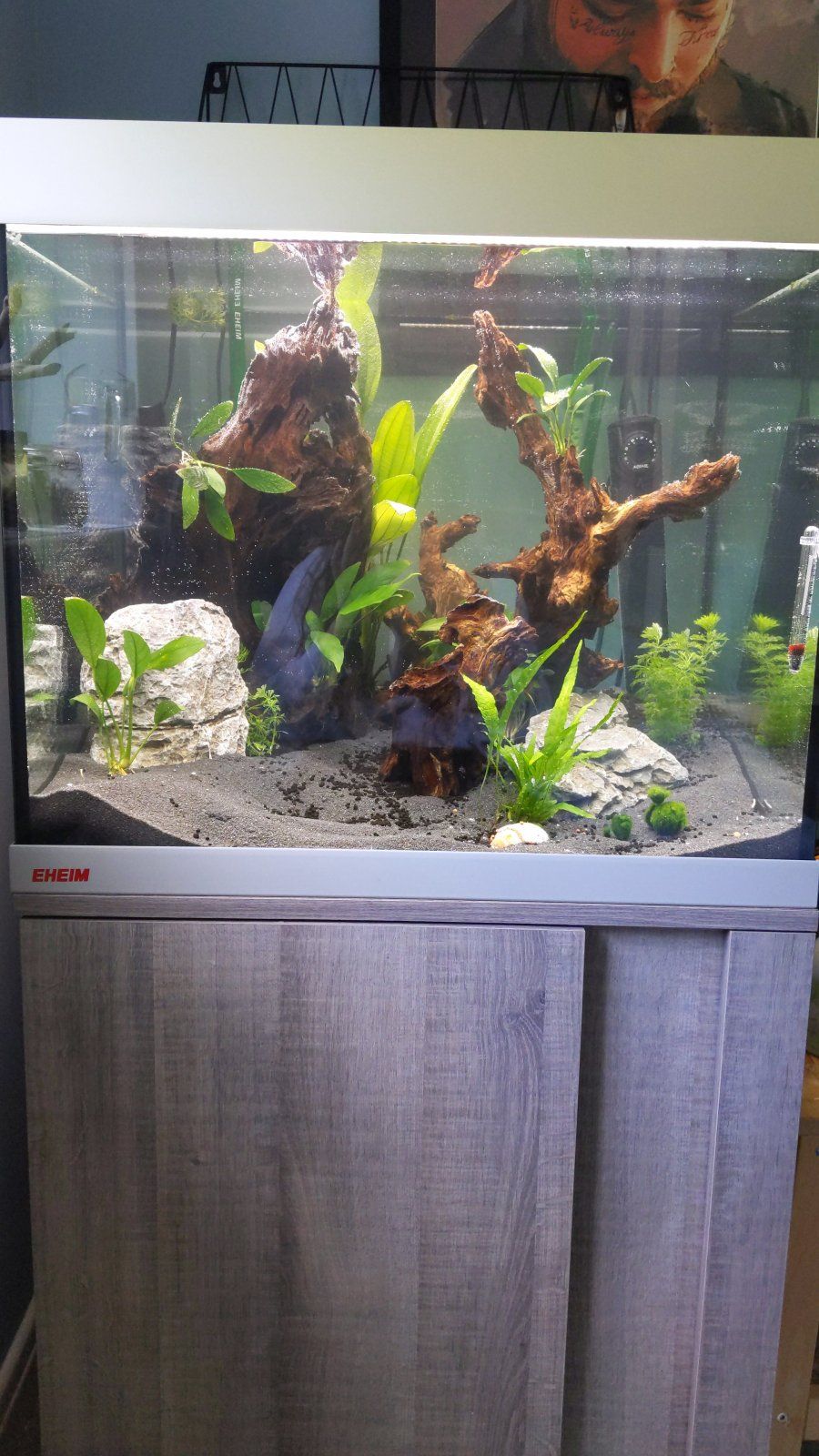 fish tank 1.jpeg