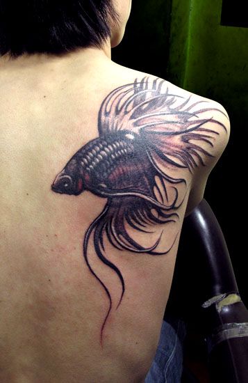 Fish-Tattoo-Designs-and-Fish-Tattoo-Meaning-2.jpg