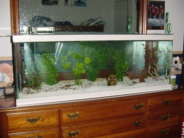 Fish__March_1st_017.jpg