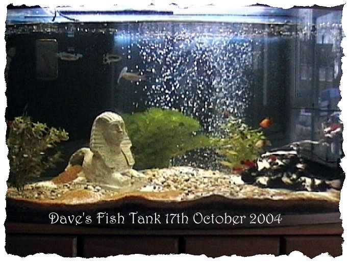 Fish_Tank.jpg