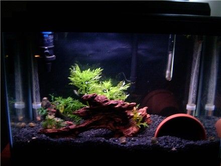 fishpics4.22.04_004.jpg