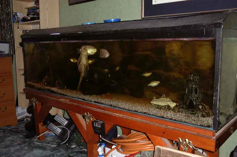fishtank.jpg