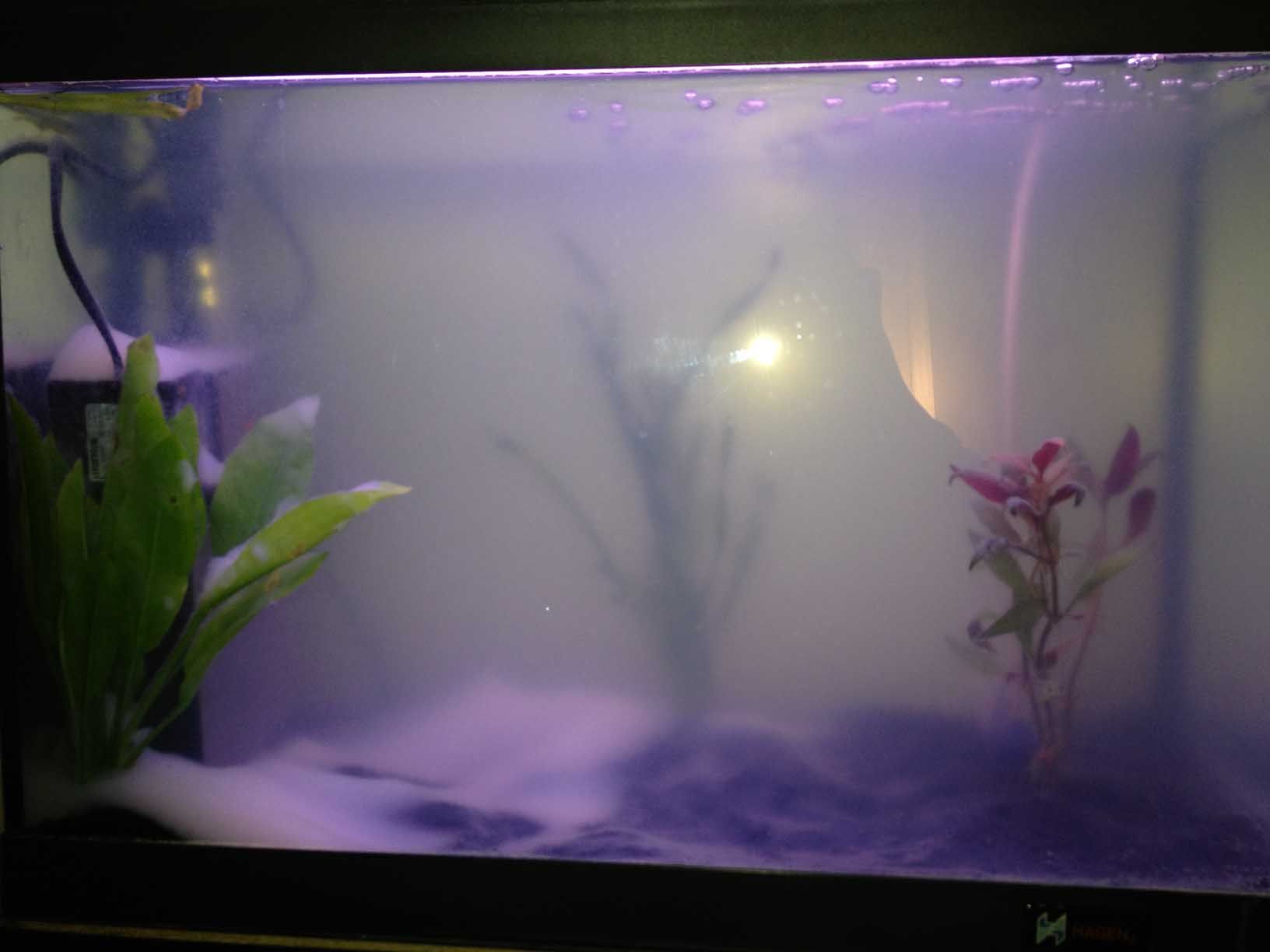 fishtank_0003.jpg