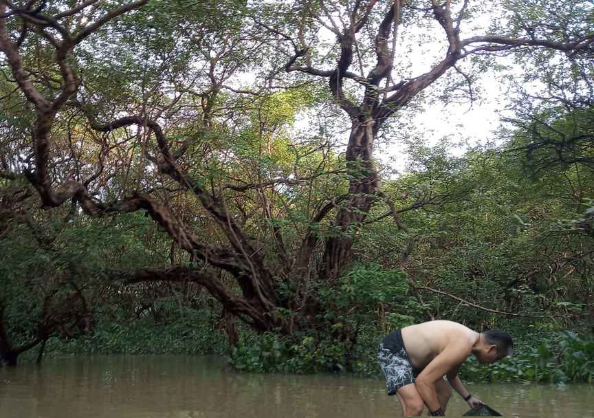 fkep0.jpg