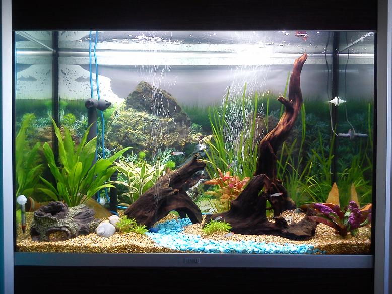 Fluval Profile 1000.jpg