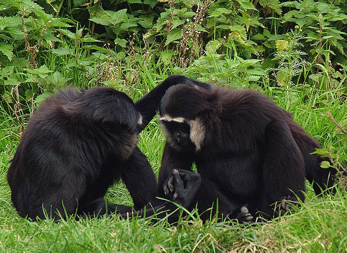Fota0047.jpg