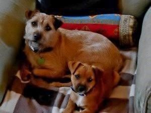 Freddy n co 016a.jpg