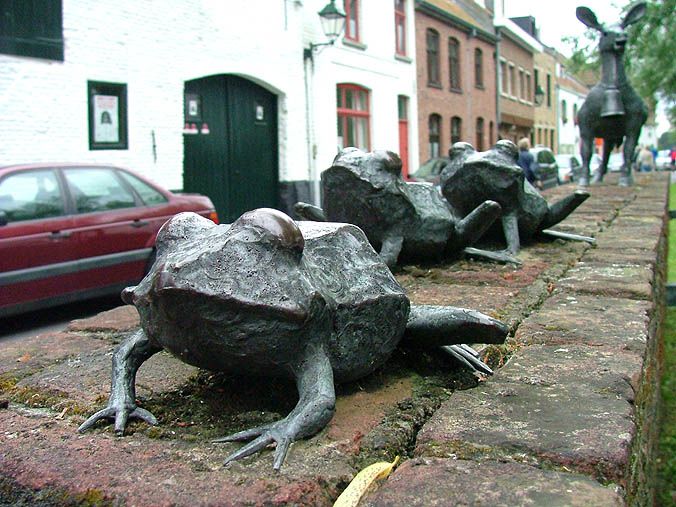 frogs.jpg