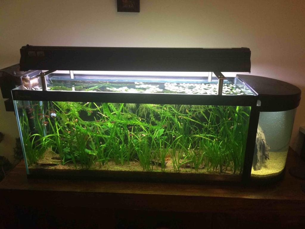 FTS with new light fixtures.jpg