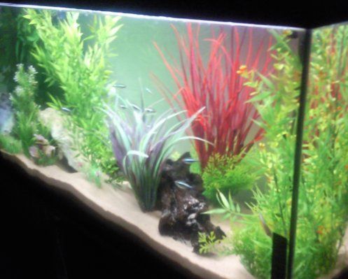 Full Tank 2.jpg