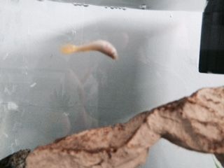 FullSizeRender (6).jpg