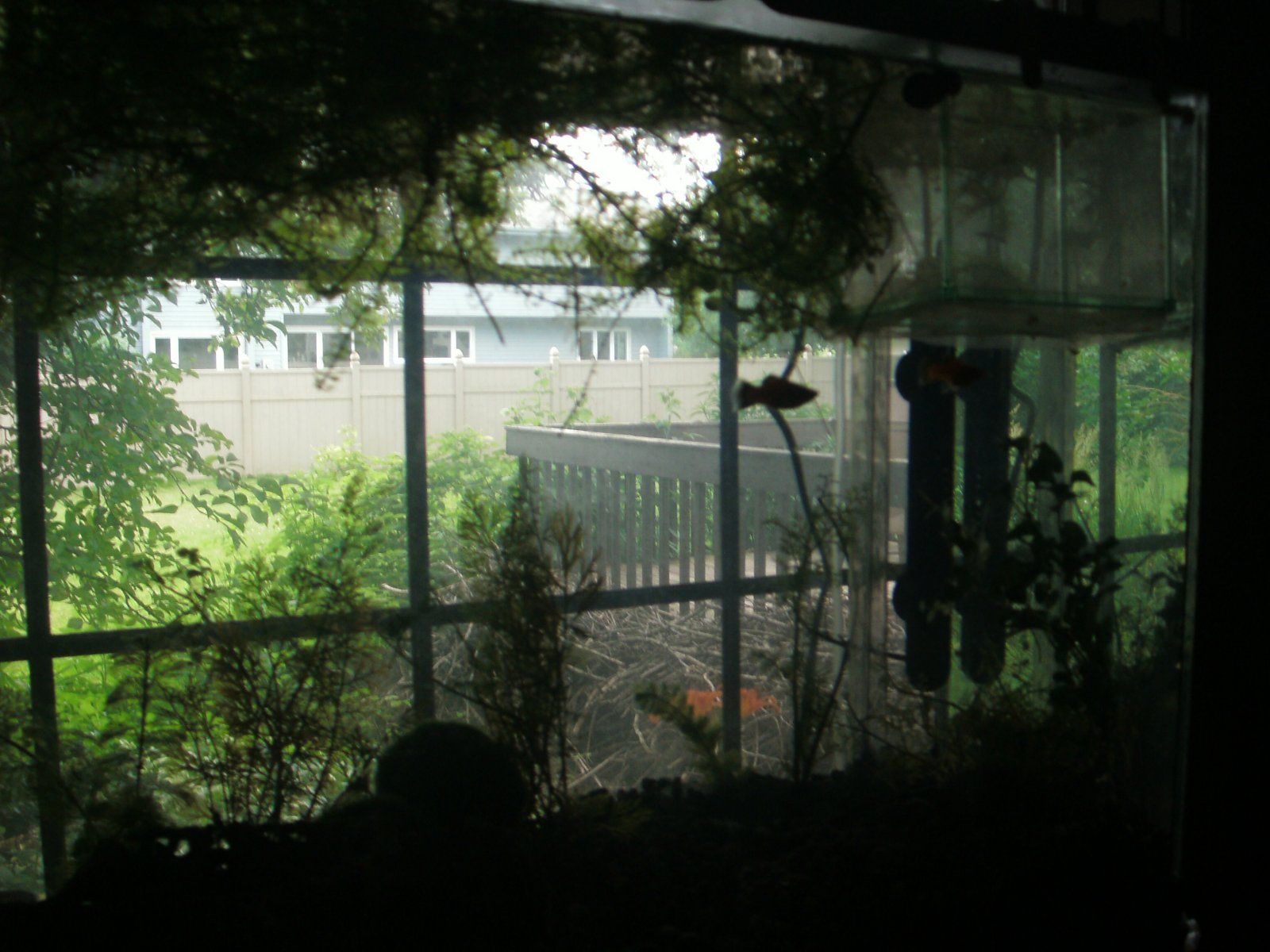 GEDC1409.JPG