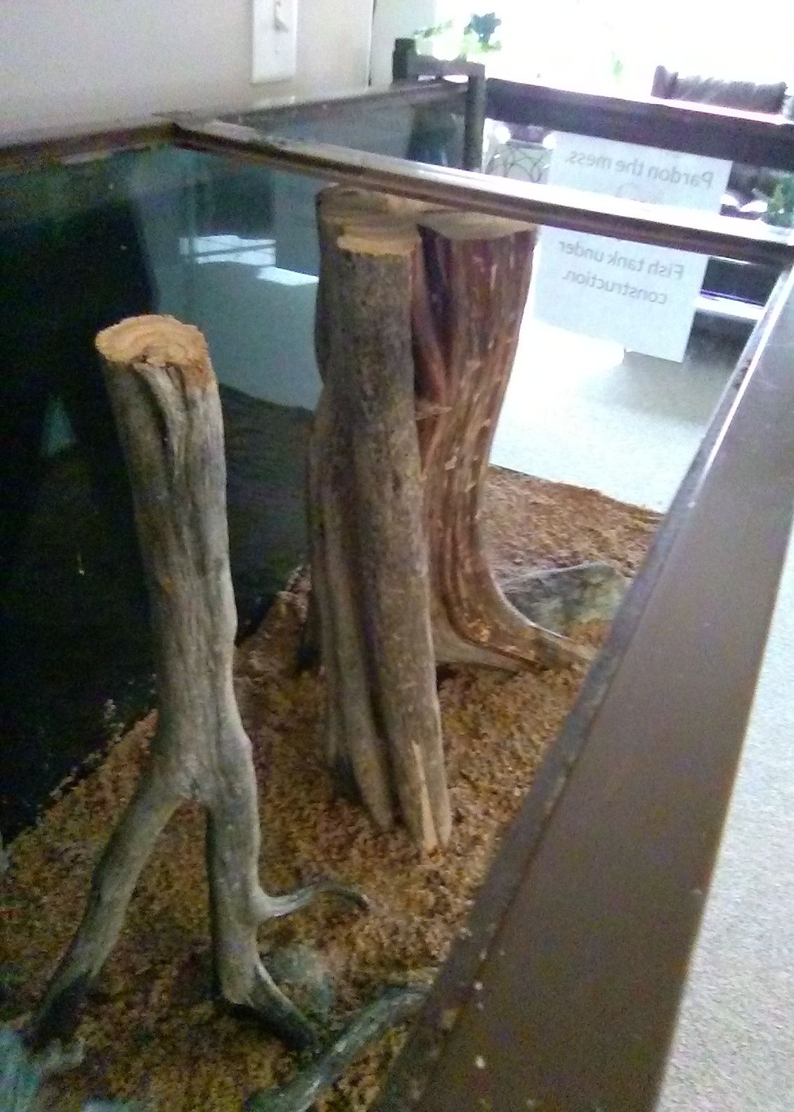 hardscape 3.jpg