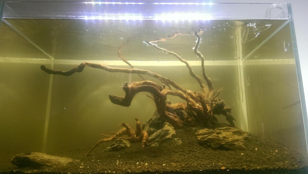 hardscape_wet.jpg