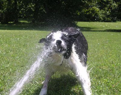 hose_fun_4.jpg